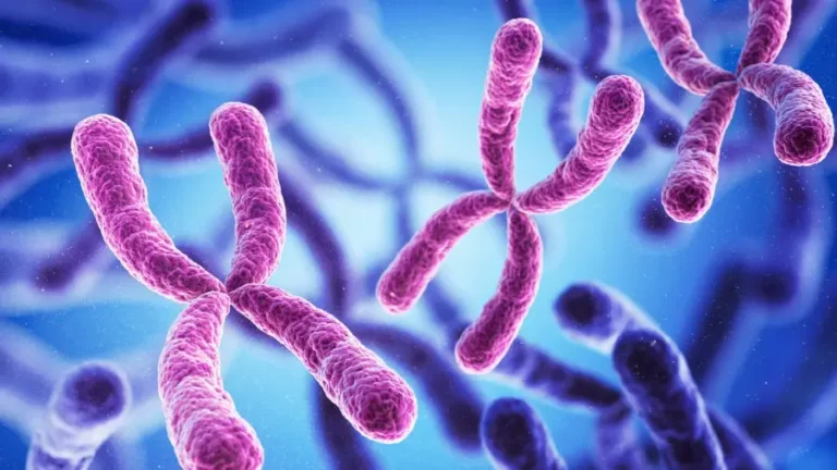 Síndrome de Patau: 9 entre 10 crianças afetadas morrem antes de completar um ano de vida