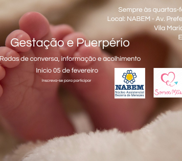 Programa da Gestação ao Puerpério