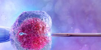 10 verdades sobre reprodução assistida que ninguém te conta