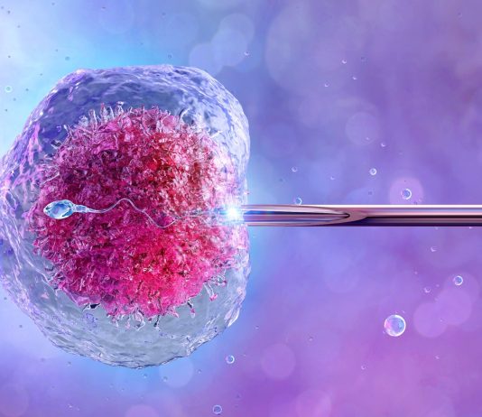 10 verdades sobre reprodução assistida que ninguém te conta