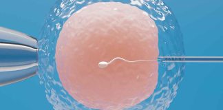 Congelamento de óvulos cresce 28% no país e evidencia mudança cultural na saúde feminina