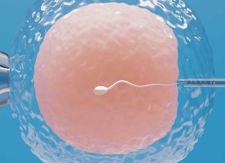 Congelamento de óvulos cresce 28% no país e evidencia mudança cultural na saúde feminina