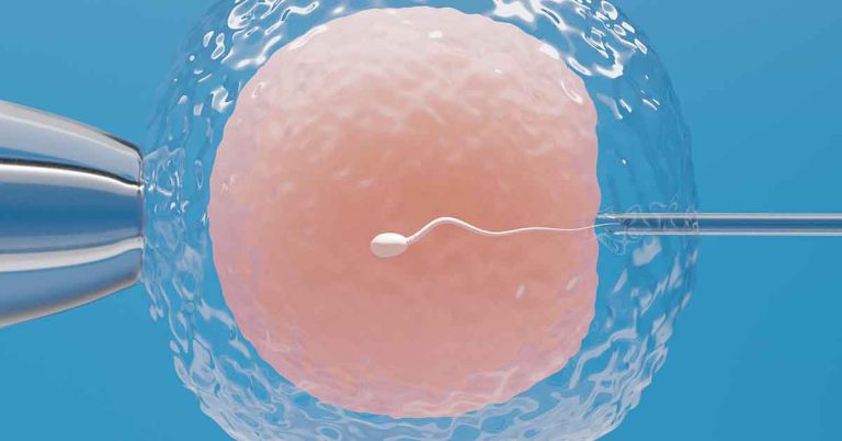 Congelamento de óvulos cresce 28% no país e evidencia mudança cultural na saúde feminina