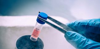 Para além da maternidade: quando o congelamento de óvulos é recomendado por questões médicas