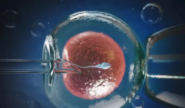 Mulher virgem pode congelar óvulos? Procedimento levanta dúvidas e ajuda a quebrar tabus sobre fertilidade